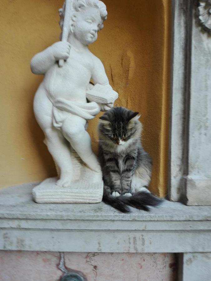 Villa Torretta ヴァレンナ エクステリア 写真